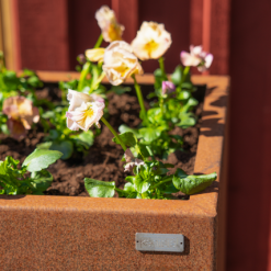 kruka i corten med blommor kantstål