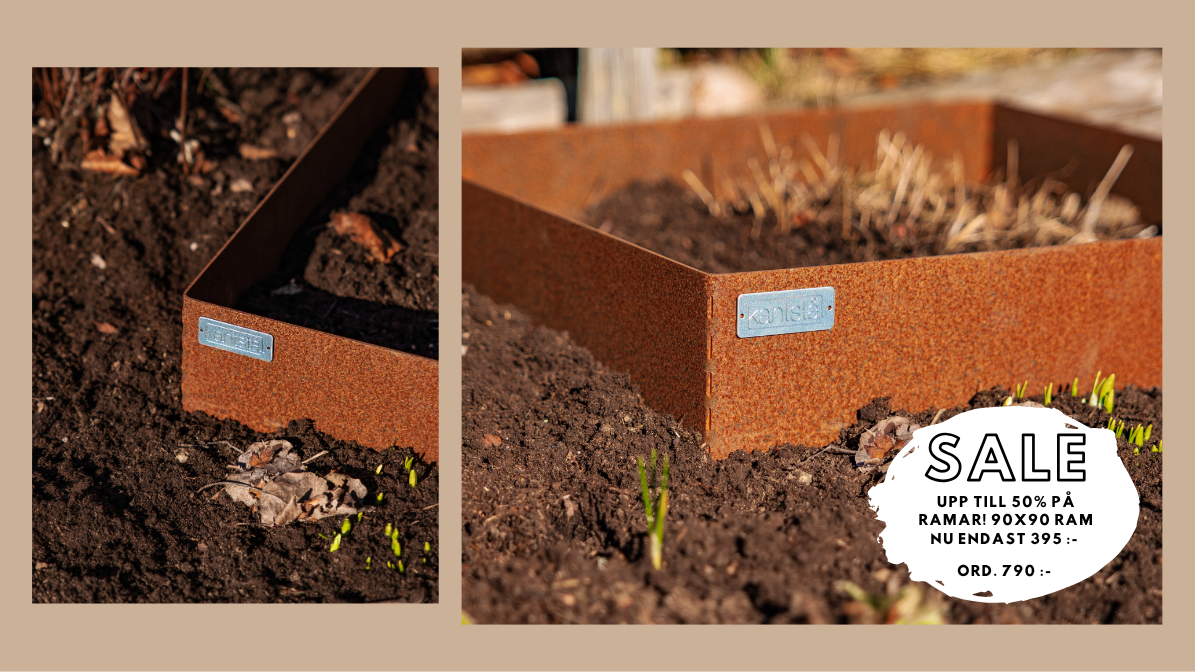 Odlingsramar i corten rabattkanter